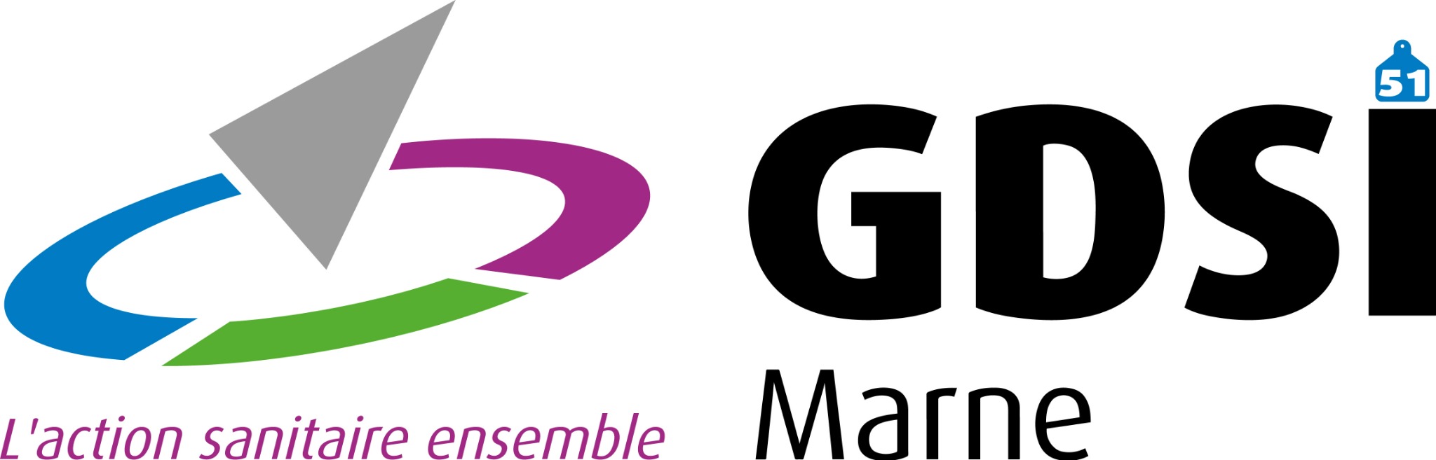 Logo GDSI Marne