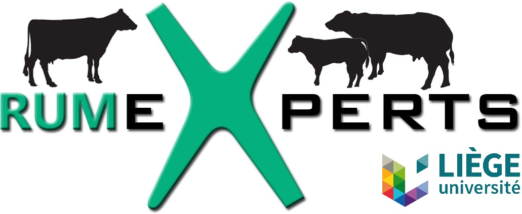 Logo RumeXperts